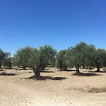 Θέρετρο Serra Niedda & Sorso