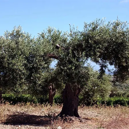 Serra Niedda & Resort
