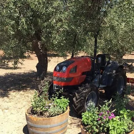 Rezort Serra Niedda &