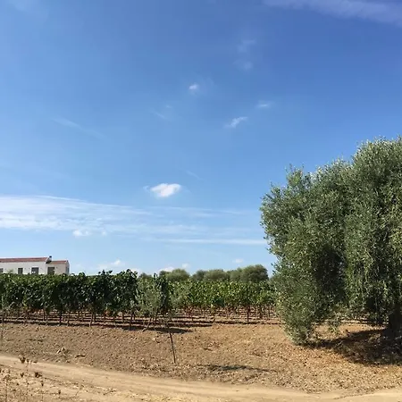Resort Serra Niedda & *