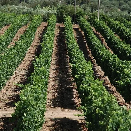 리조트 Serra Niedda & 소르소