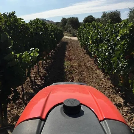 Serra Niedda & 리조트 *