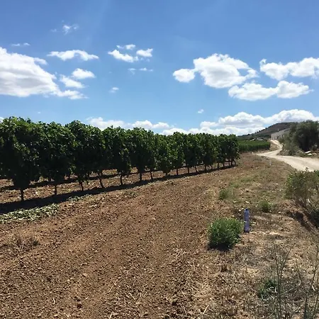 Serra Niedda & * Sorso